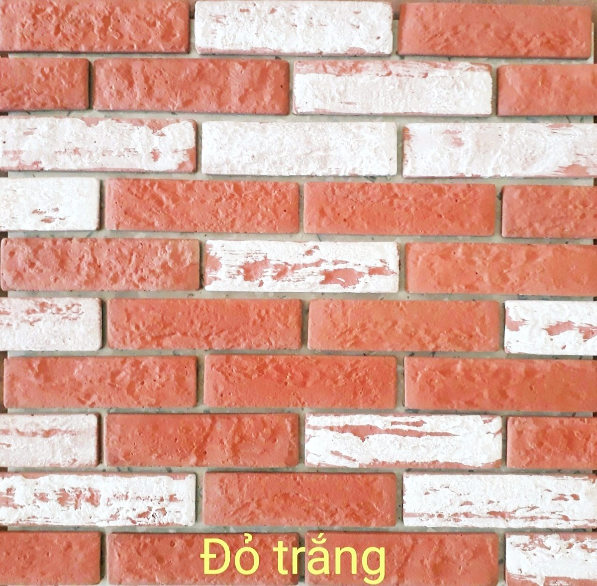 GC Đỏ trắng